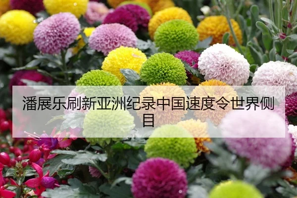 潘展乐刷新亚洲纪录中国速度令世界侧目